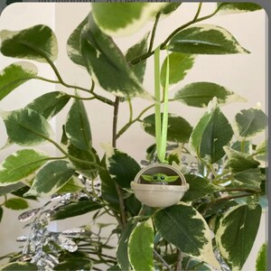 May include: A Baby Yoda Christmas ornament, featuring the character in a white pod, suspended by a green ribbon. The ornament is set against a backdrop of green and white variegated leaves, creating a festive holiday scene.