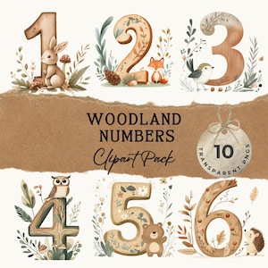 Woodland Number Clipart - Números de animais fofos | Woodland Animals Number Clipart | Chá de bebê Woodland | 123 Clipart | Decoração de berçário