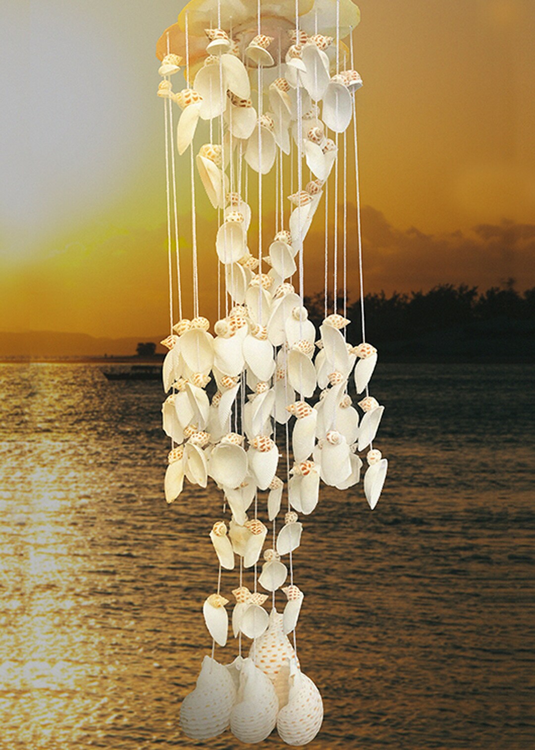 thumbnail image 2 of BESTonZON Shell Wind Chime Hanging Decoration With Clear 2 of 13