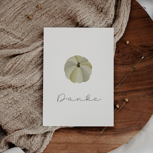 Postkarte Herbst Kürbis Herbstliche Grußkarte grüner Kürbis - Illustrationen Herbst als Dankeskarte - Illustration Herbst Karte
