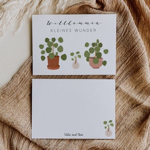 Postcard Baby Birth Welcome Little Miracle Pilea Plant Plant with Offshoot Birth Card Birth Gift image 3