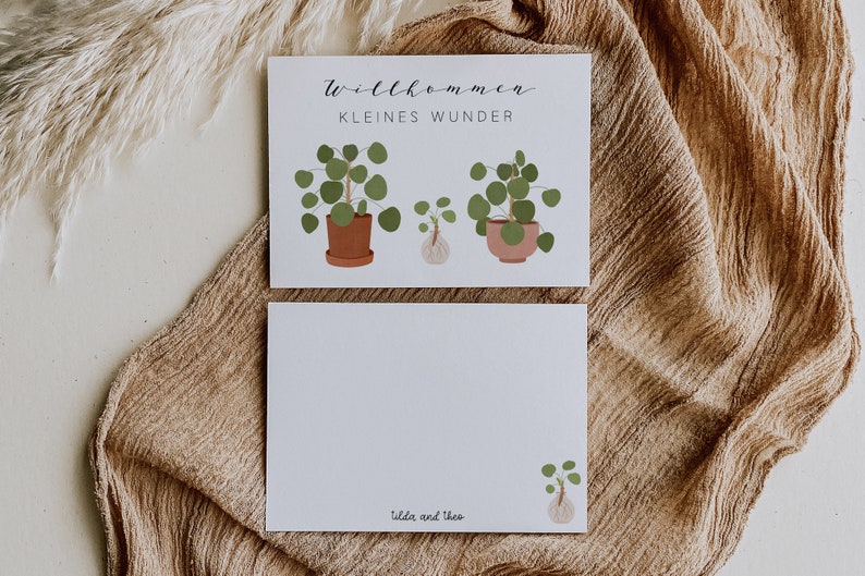 Postcard Baby Birth Welcome Little Miracle Pilea Plant Plant with Offshoot Birth Card Birth Gift image 3