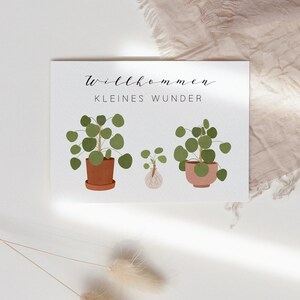 Postcard Baby Birth Welcome Little Miracle Pilea Plant Plant with Offshoot Birth Card Birth Gift image 7