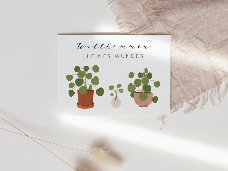 Postcard Baby Birth Welcome Little Miracle Pilea Plant Plant with Offshoot Birth Card Birth Gift image 7