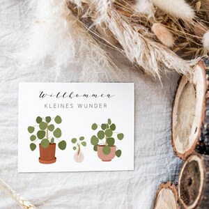 Postcard Baby Birth Welcome Little Miracle Pilea Plant Plant with Offshoot Birth Card Birth Gift image 5