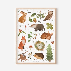 Poster Waldtiere Poster fürs Kinderzimmer Wald - Waldtiere Geschenke - Poster Babyzimmer - Kinderbild - Waldtiere Wandbilder Kinder