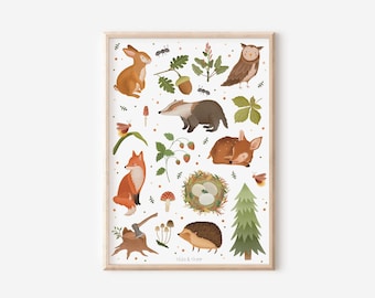 May include: A colorful illustration of woodland animals and plants, including a fox, rabbit, owl, badger, deer fawn, hedgehog, and a nest with eggs. The illustration is set against a white background and features a variety of colors, including brown, orange, green, and red.