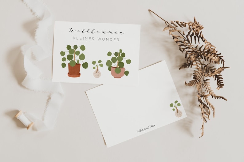 Postcard Baby Birth Welcome Little Miracle Pilea Plant Plant with Offshoot Birth Card Birth Gift image 1