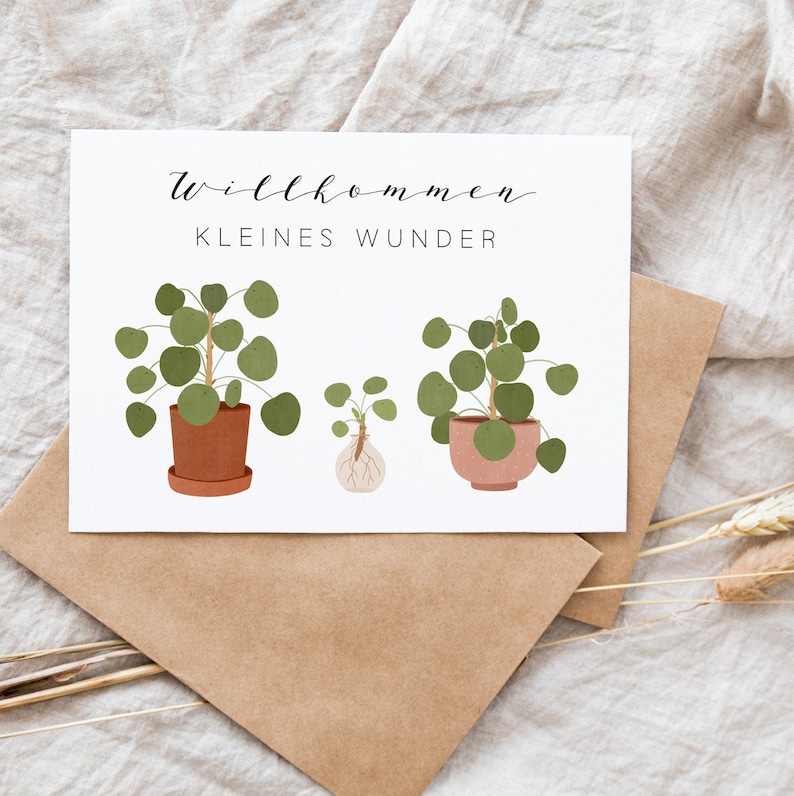Postcard Baby Birth Welcome Little Miracle Pilea Plant Plant with Offshoot Birth Card Birth Gift image 6