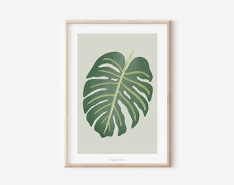 Poster Monstera Zimmerpflanze Boho Pflanze Botanischer Print Zweig - Wanddeko Monstera Plant - Illustration Blätter  - Geschenk Monstera