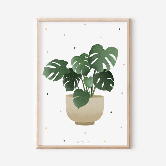 Poster Monstera in pot houseplant Boho plant Botanical print - wall  decoration Monstera Plant - illustration leaves gift Monstera