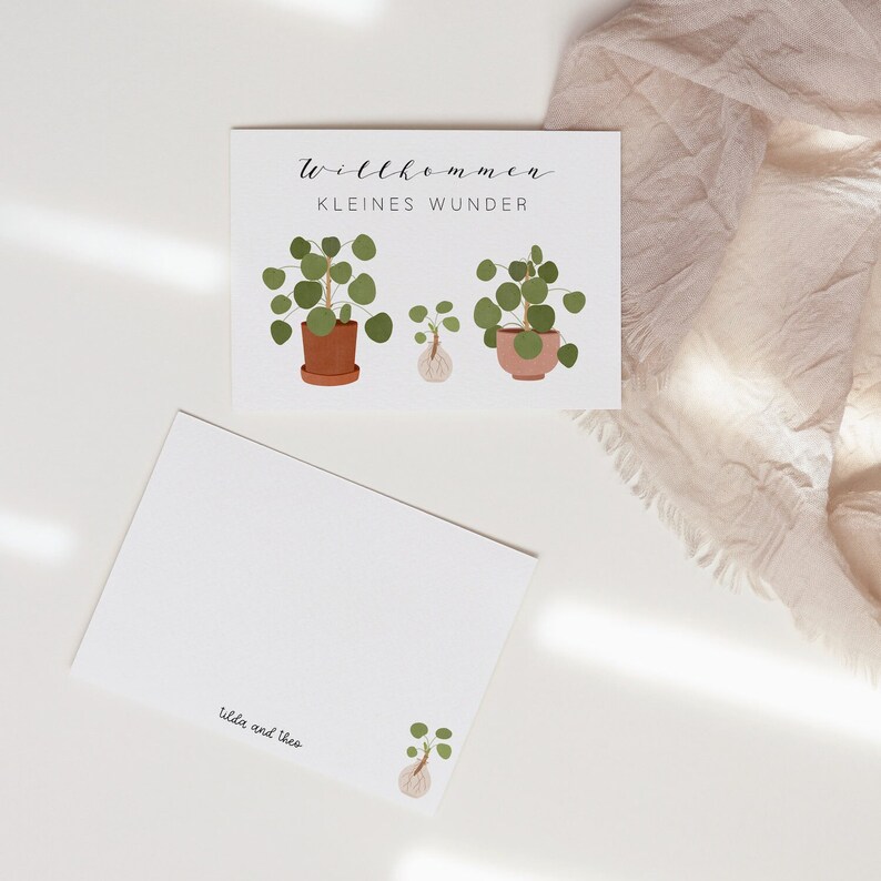 Postcard Baby Birth Welcome Little Miracle Pilea Plant Plant with Offshoot Birth Card Birth Gift image 8