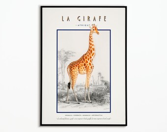 Poster vintage giraffa | Poster vintage giraffa | Decorazione poster | Poster | d&#39;arte Arte murale