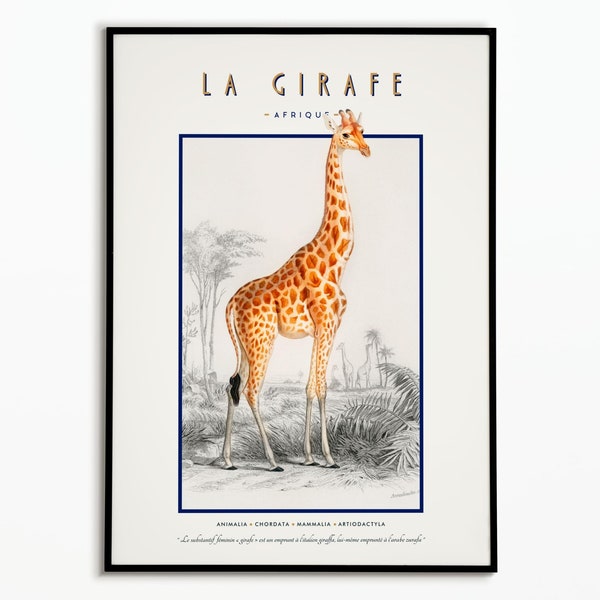 Affiche Vintage Girafe | Vintage Giraffe Poster | Affiche décoration | Affiche Art | Wall Art