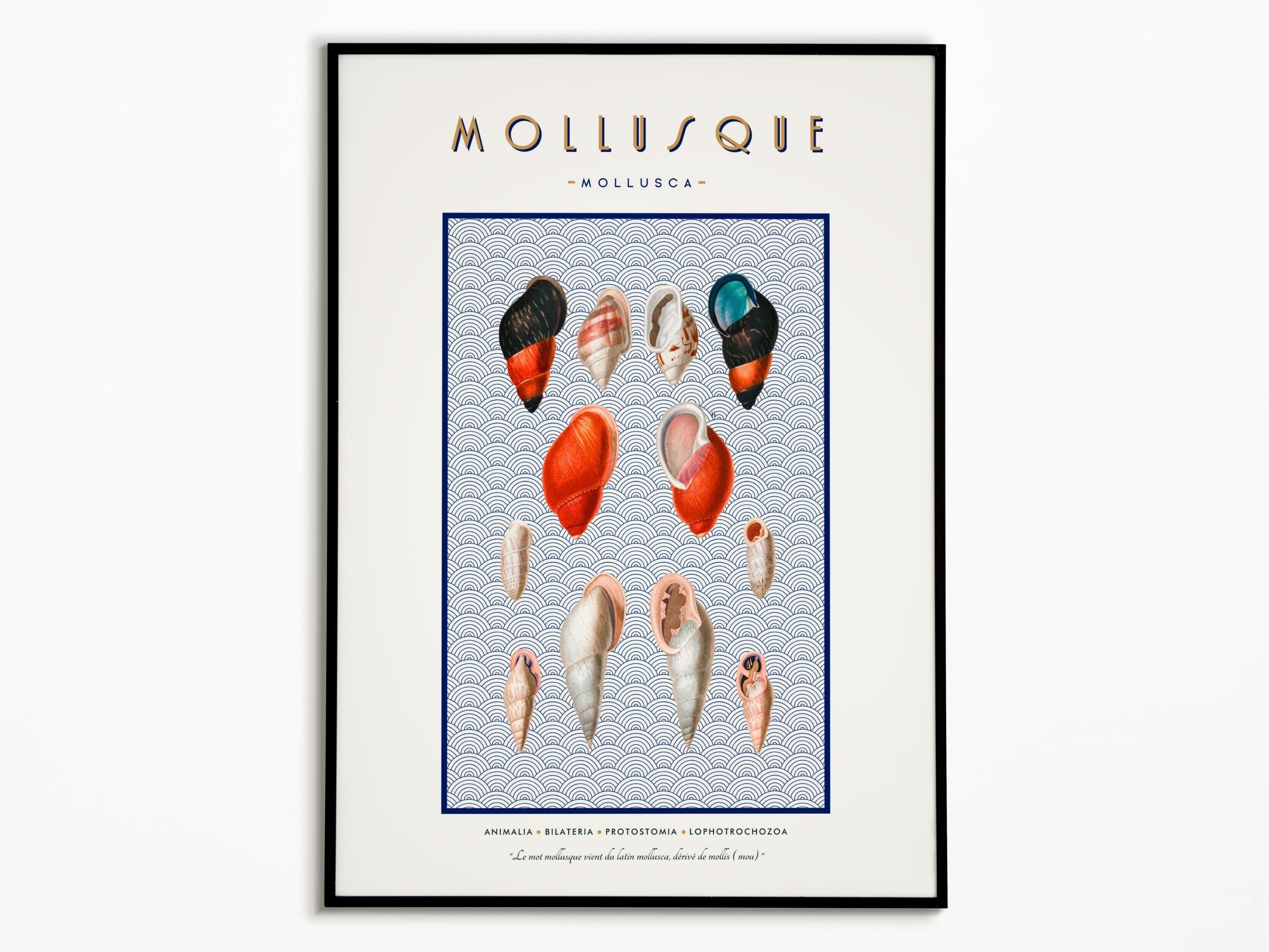 Affiche Vintage Mollusques | Afficher Mer Affiche Océan Décoration Murale