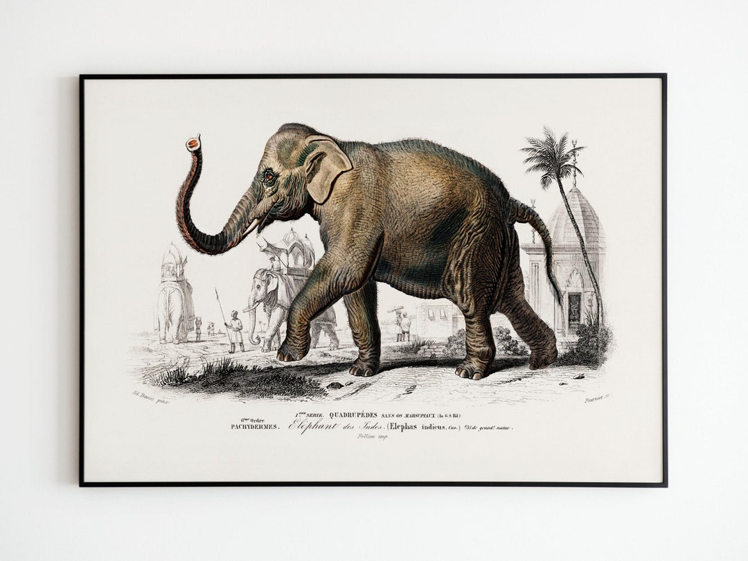 Vintage Vintage Art Wandkunst Poster Elefanten Poster Poster Elefant Posterdekoration