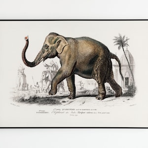 Vintage Elephant poster | Vintage Elephant Poster | Poster decoration | Art | Poster Wall Art
