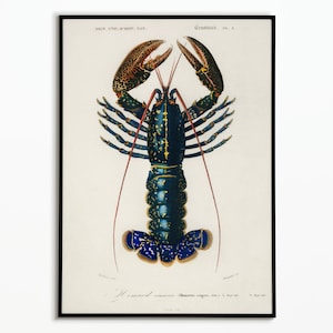Póster de langosta vintage | Póster de langosta vintage | Cartel de decoración | Arte del cartel | Arte de la pared
