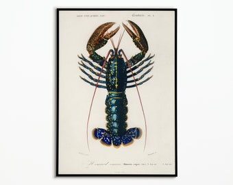 Vintage Lobster Poster | Vintage Lobster Poster | Decorative Poster | Art Poster | Wall Art