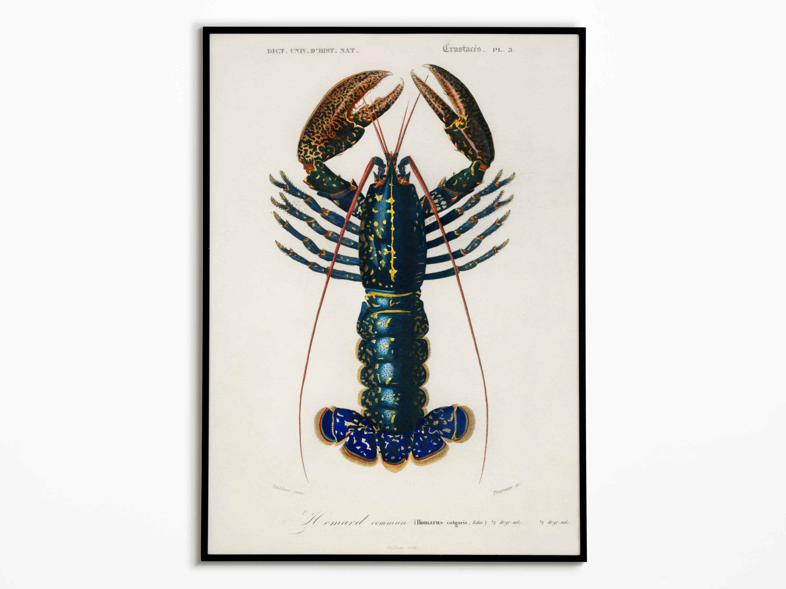 Gift Guide: For Her (Under $100) - West Coast Lobster