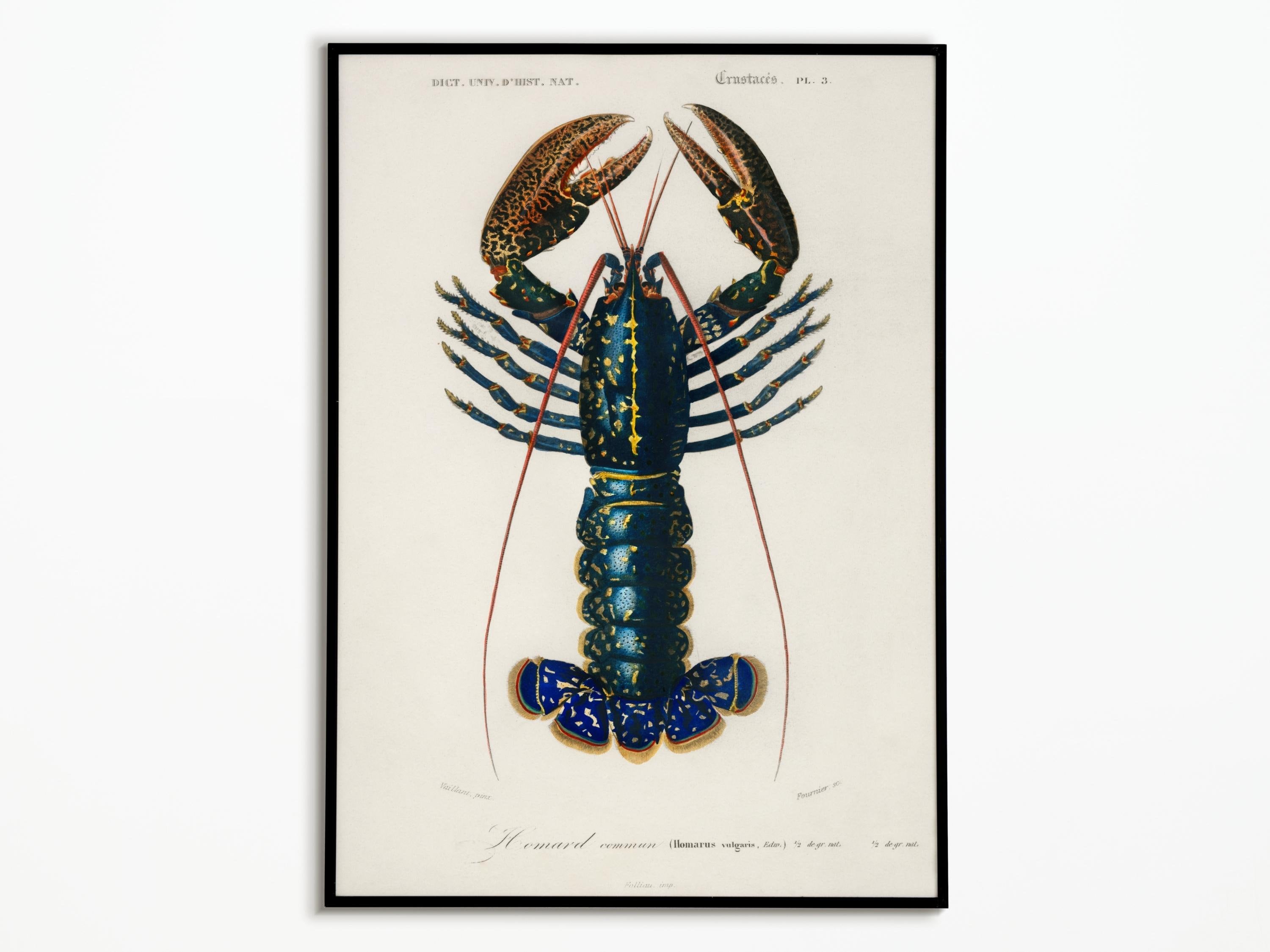 Poster vintage dell'aragosta | Poster vintage dell'aragosta | Poster decorativo | Poster artistico | Arte murale