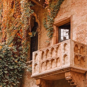 May include: A stone balcony with intricate carvings, surrounded by ivy and brick walls. The balcony is partially covered by a vine with orange and green leaves.