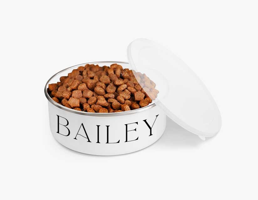 Custom Dog Bowl Personalized Dog Bowl Enamel with Lid Bailey Etsy