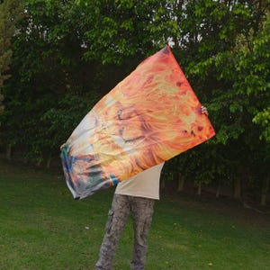 May include: A rectangular flag featuring a vibrant, high-contrast graphic print of a lion's face surrounded by stylized orange, yellow, and red flames. The design transitions into a blue and dark tone on the left side, creating a bold visual effect.