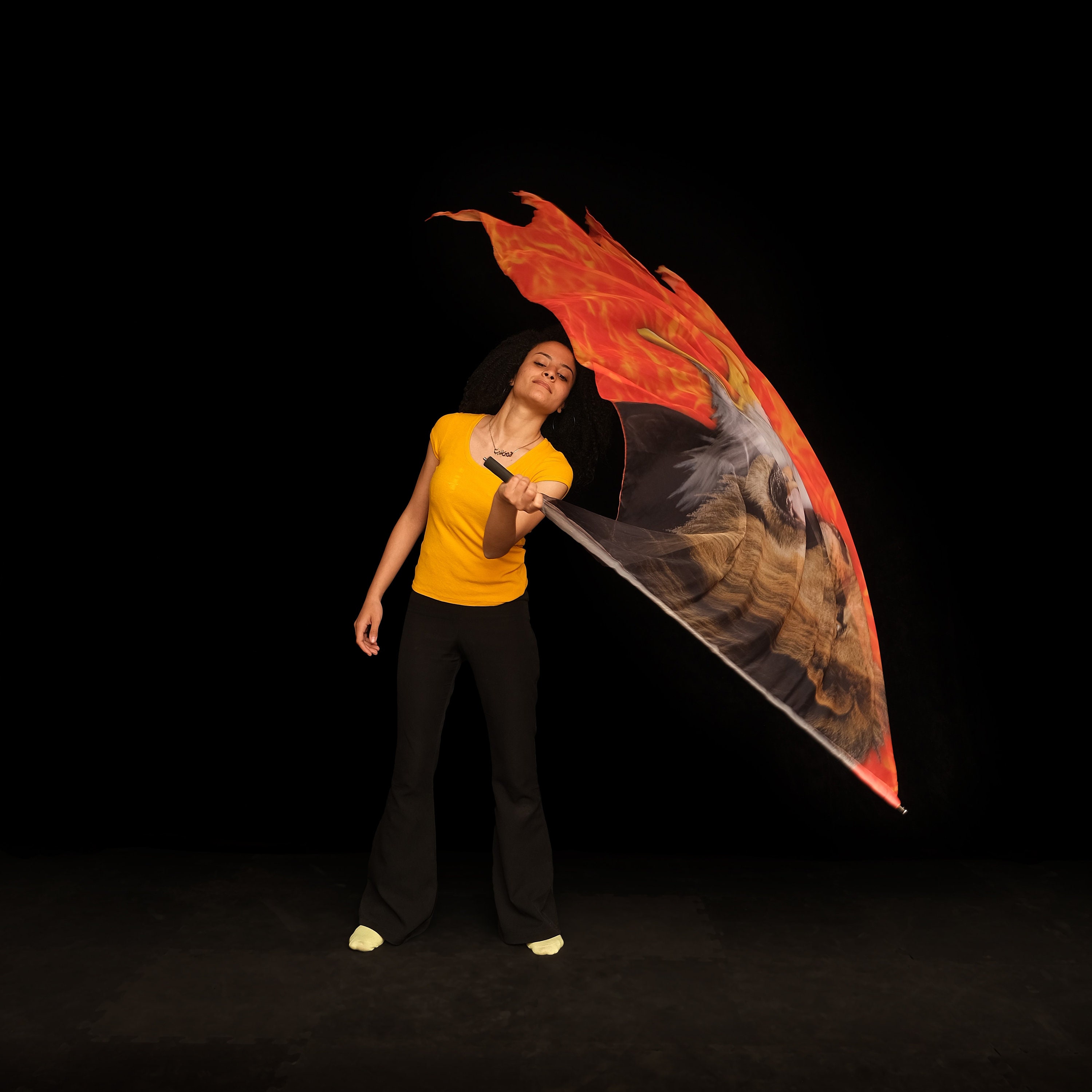 Lion & Eagle Worship Flag – Fiery Roar, Prophetic Silk Banner ...