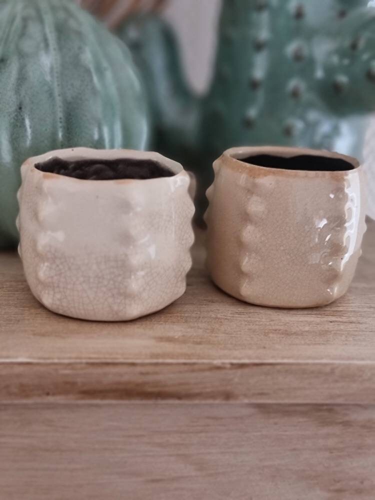 Duo Pots Cactus