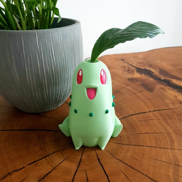 Jardinière de multiplication de chikorita