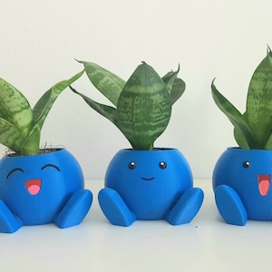 May include: Three round, bright blue planters with small feet and printed facial expressions, each containing a green snake plant. The planters feature distinct faces: one with a laughing expression, one with a simple smile, and one with an open-mouthed grin.