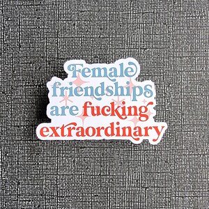 Vinyl STICKER, Female Friendships Are Fucking Extraordinary, Red and Blue Water Resistant Stickers