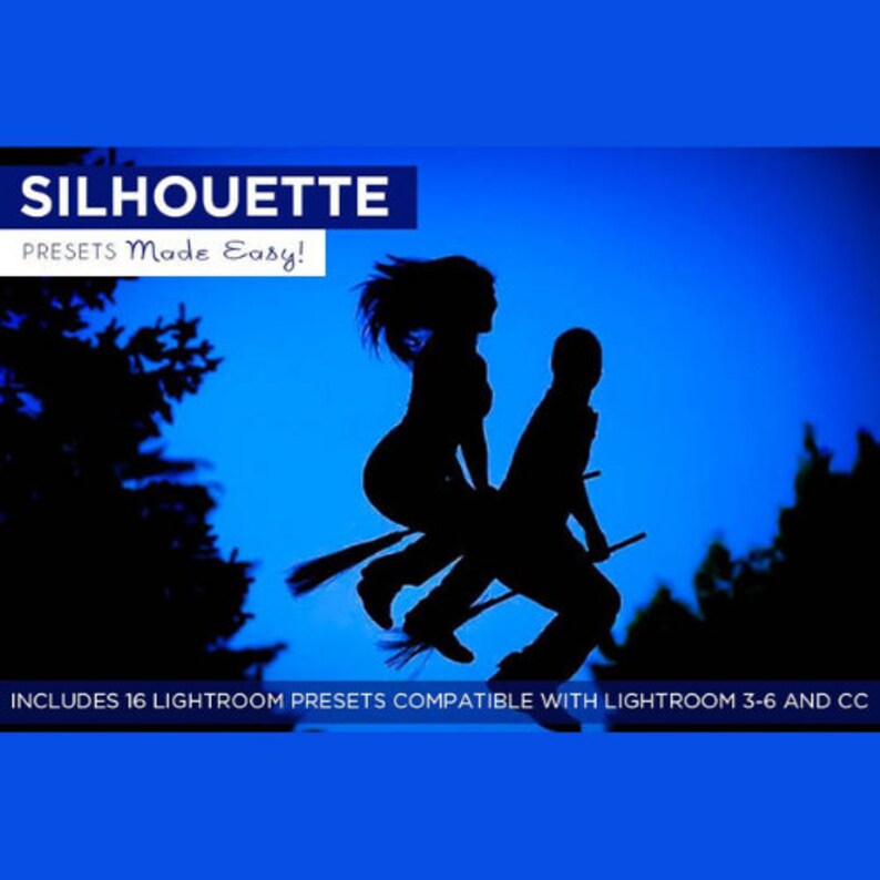 13 Silhouette Lightroom Presets, One-click Blackout, Backlit Portrait ...