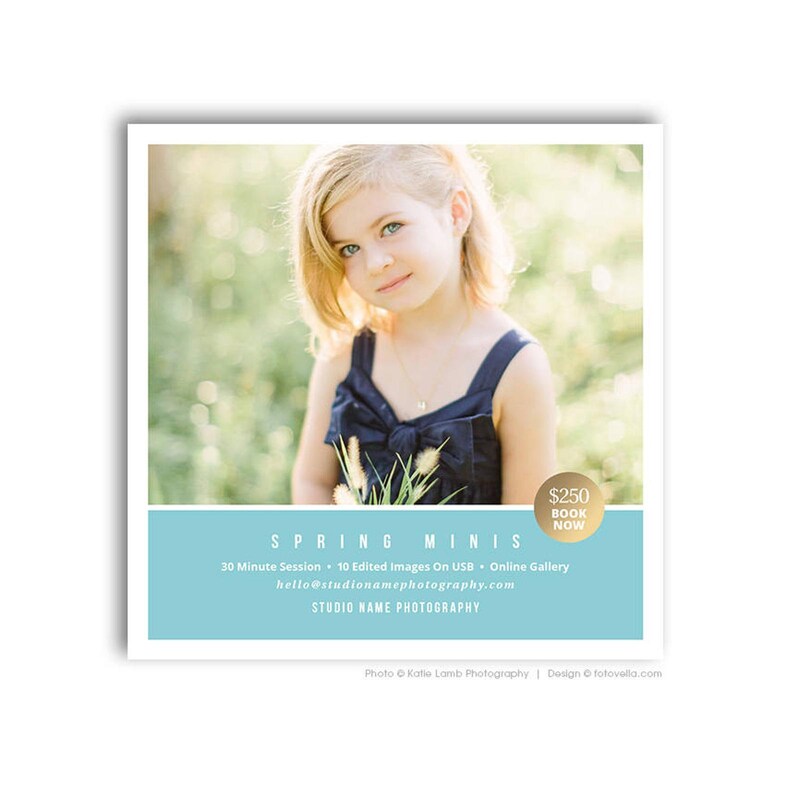 May include: A light blue and white graphic with the text "SPRING MINIS" in white. The graphic also includes the text "30 Minute Session - 10 Edited Images On USB - Online Gallery" and "hello@studionamephotography.com". The graphic also includes the text "STUDIO NAME PHOTOGRAPHY" in white. A gold circle with the text "$250 BOOK NOW" is in the upper right corner of the graphic.