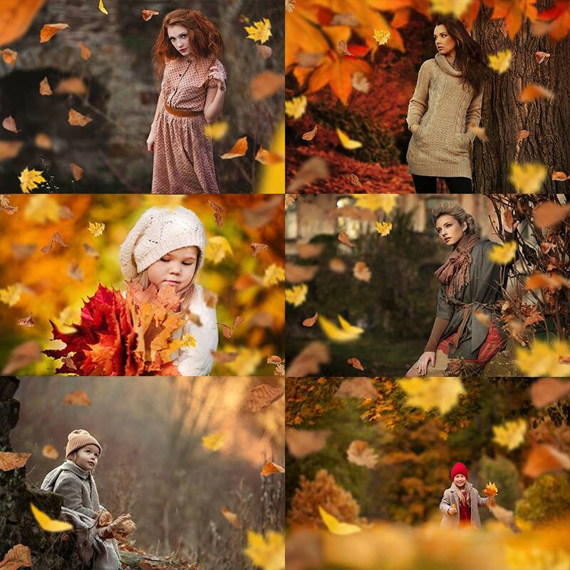 Leaf Overlays, Photographer Leaf Photo Overlays, Falling Leaves, Autumn ...