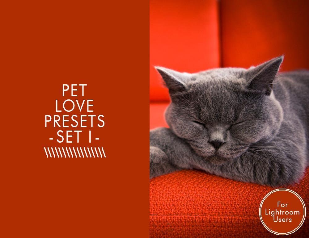 The Complete Pet Photography Product Collection for Pet Etsy