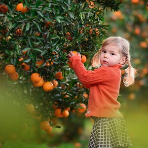 Sovrapposizioni di sfocatura creative per fotografi / Effetti bokeh di Photoshop e profondità dello sfondo immagine 3