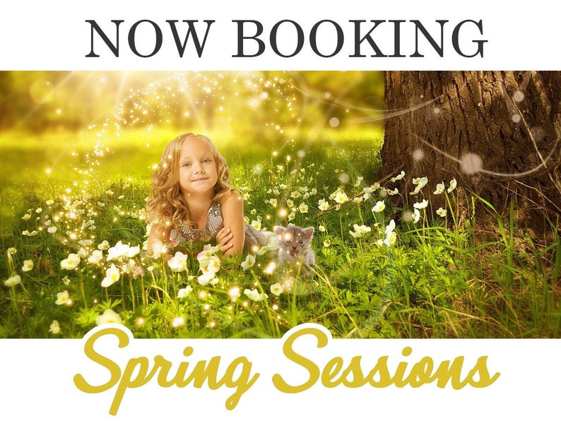 Peut inclure: Une jeune fille aux longs cheveux blonds est assise dans un champ de fleurs blanches avec un petit chaton gris. L'arri&egrave;re-plan est une image floue d'un arbre et d'un ciel ensoleill&eacute;. Le texte "NOW BOOKING Spring Sessions" est en haut et en bas de l'image.