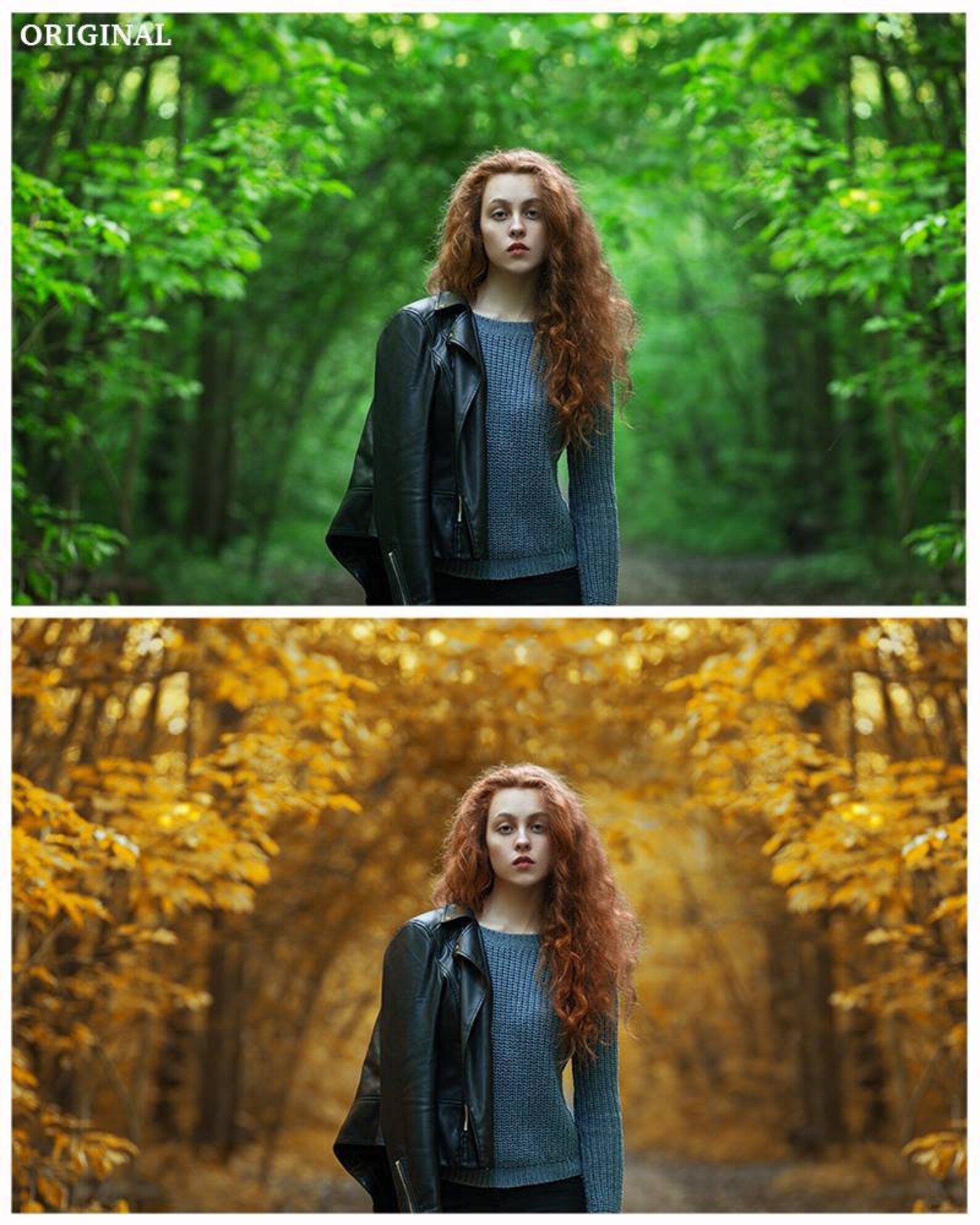 Leaf Overlays, Photographer Leaf Photo Overlays, Falling Leaves, Autumn ...