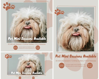 May include: A light brown and white dog with its tongue sticking out. The dog is looking at the camera. The image is a promotional graphic for pet mini sessions. The text reads "Pet Mini Sessions Available", "30 Minute Session", "Online Gallery", "Print Release", "$250", "STUDIO NAME PHOTOGRAPHY.COM", "hello@studionamephotography.com", and "BOOK NOW".