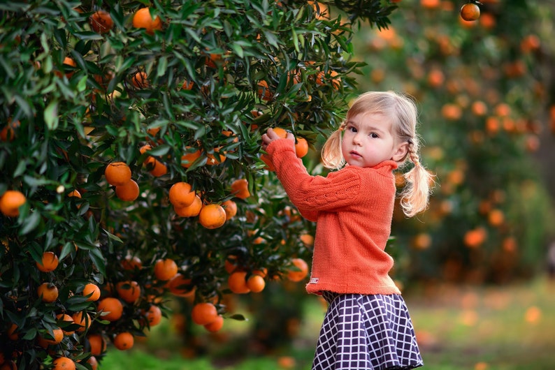 Pu&ograve; includere: Una bambina con le trecce che indossa un maglione rosso e una gonna a scacchi bianchi e neri raccoglie arance da un albero. L'albero &egrave; pieno di arance mature.