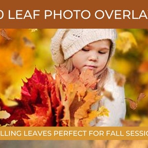 Leaf Overlays, Photographer Leaf Photo Overlays, Falling Leaves, Autumn Overlays, Fall Portrait Photography Overlays, Photoshop