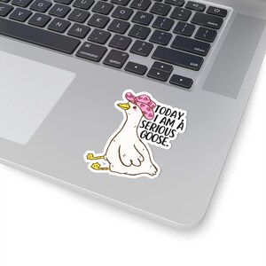 Today I Am A Serious Goose Sticker, Cute Quirky Stickers, Laptop Decor, Fun Gift for Friends,