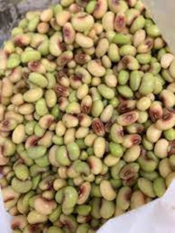 Dixie Lee Field Peas/crowder Peas 1 LB. Etsy