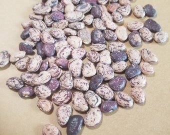 May include: A pile of speckled beans, showcasing a mix of colors including tan, purple, and dark brown. The beans are oval-shaped and have a mottled pattern. The image is a close-up shot of the beans.
