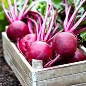May include: A wooden crate filled with freshly harvested beets. The beets are a deep red color with vibrant green and pink stems and leaves. The crate is made of light-colored wood and sits outdoors.