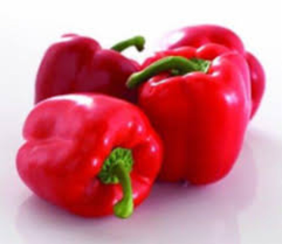 California Wonder Red Bell Pepper Seed Etsy