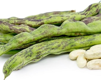 Rattlesnake Pole Beans