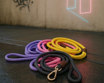 Handmade Braided Rope Dog Leash: Locking Clip, Water-Resistant, Large Dogs